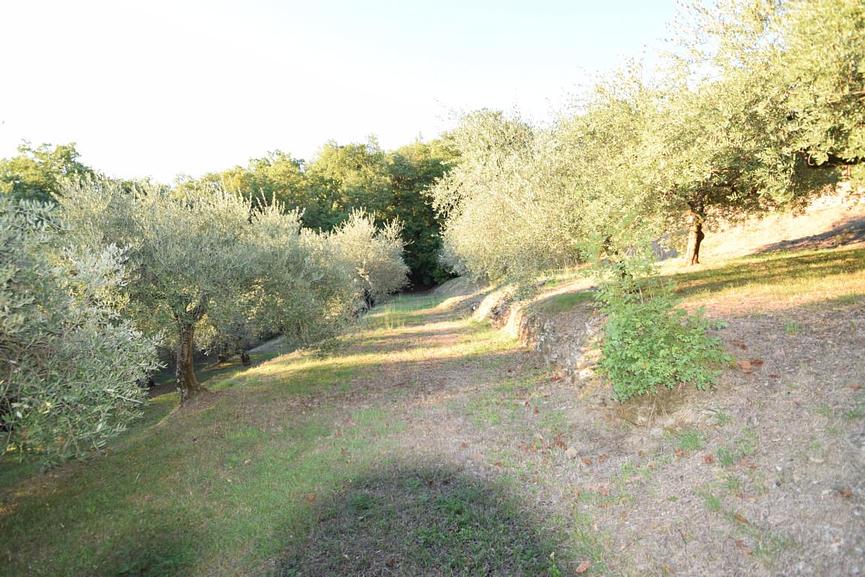Bild 3 Anwesen nördl. Toscana m. Olivenhain f. Aussteiger, Selbstversorger, Jäger etc.
