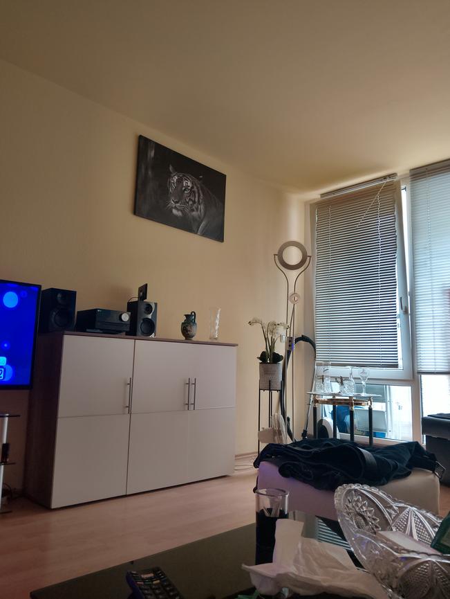 Bild 1 Wohnungsauflösung