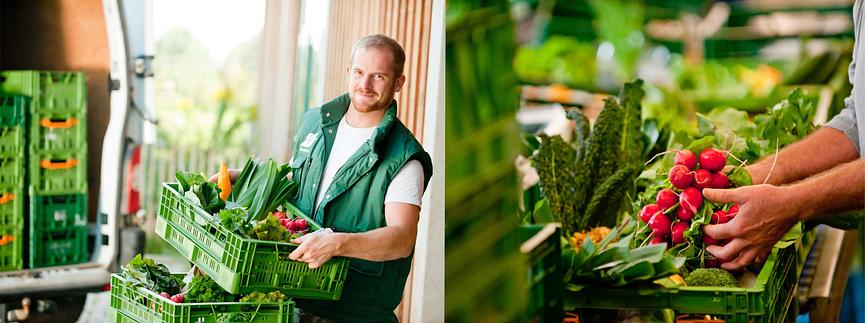 Bild 4 Ökokiste Leipzig sucht Packer/In für Obst und Gemüse