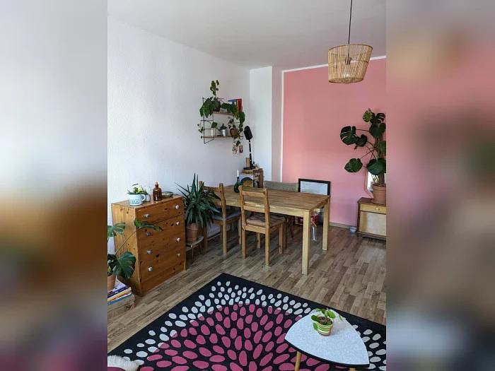 Bild 6 House-& Petsitting in Leipzig gesucht