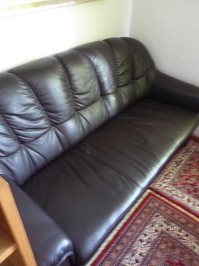 Bild 1 Ledercouch