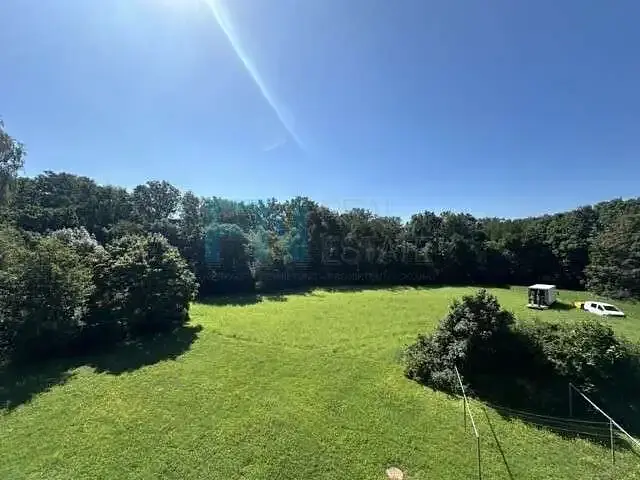 Bild 1 2 Zimmer Wohnung 40qm