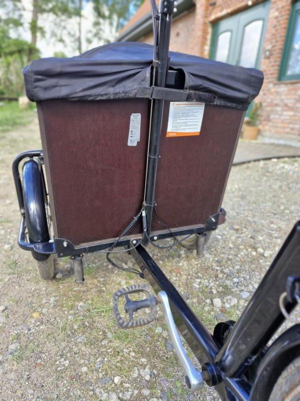 Bild 16 Babboe Dog-E Lastenrad, wenig gefahren, frisch inspiziert, mit Kindersitzbank