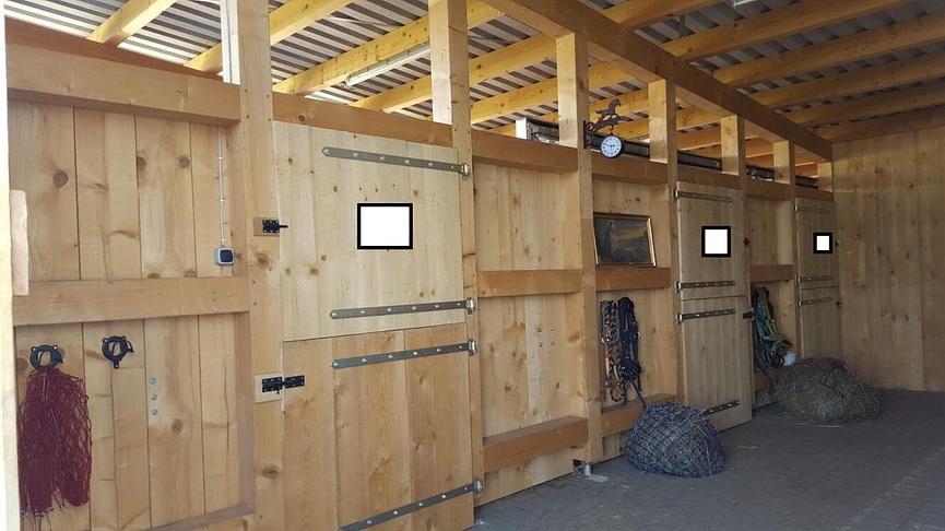 Bild 2 4x Paddock Pferdebox ähnliche Haltung - Offenstall