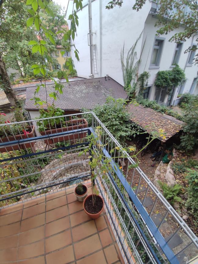 Bild 5 Wohnungstausch auf Zeit oder dauerhaft: Freiburg gegen Berlin ab Januar 2027