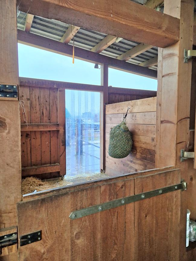 Bild 6 4x Paddock Pferdebox ähnliche Haltung - Offenstall