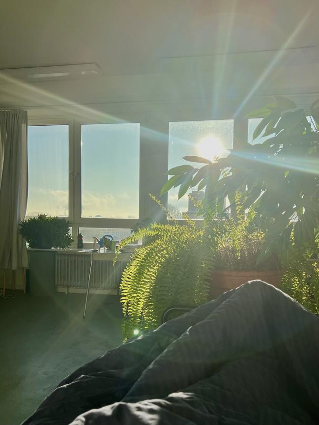 Bild 1 Helles Zimmer in großer WG für 3 Monate - Hamburg Hammerbrook.