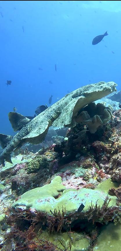 Bild 6 Abenteuerurlaub Singapur/ Indonesien