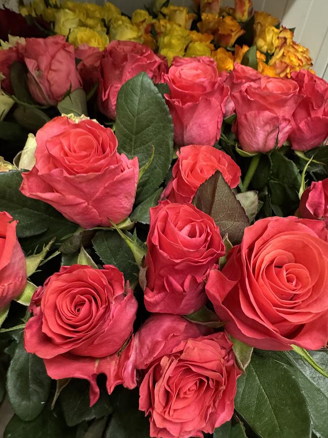 Bild 1 Florist/in