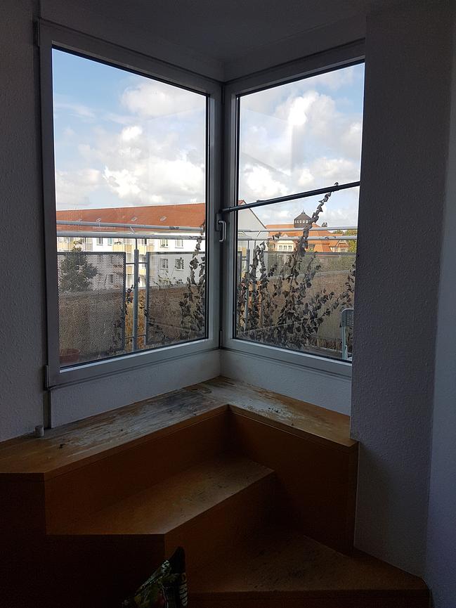 Bild 5 WG.-Zimmer frei