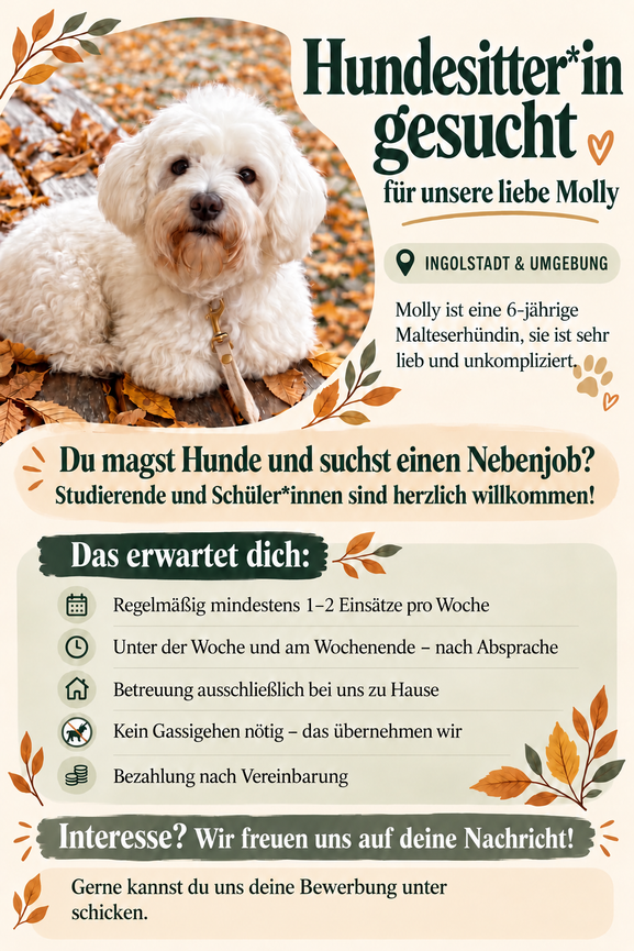Bild 1 Hundesitter*in gesucht - für unsere liebe Molly
