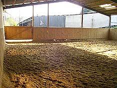 Bild 4 Pferdeboxen frei