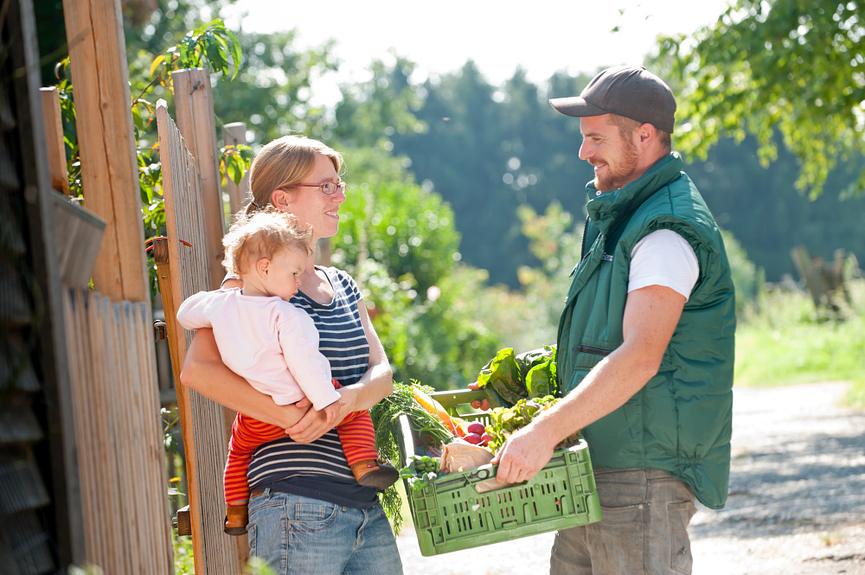 Bild 2 Ökokiste Leipzig sucht FAHRER