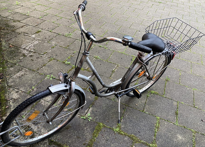 Bild 3 Stadtfahrrad Bavaria Line Lizzard für Damen, Nabenschaltung, Beleuchtung, Korb
