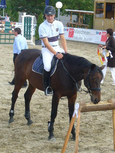 Bild 1 Stallhilfe, Pferdepflegerin und Reinigungsfee gesucht