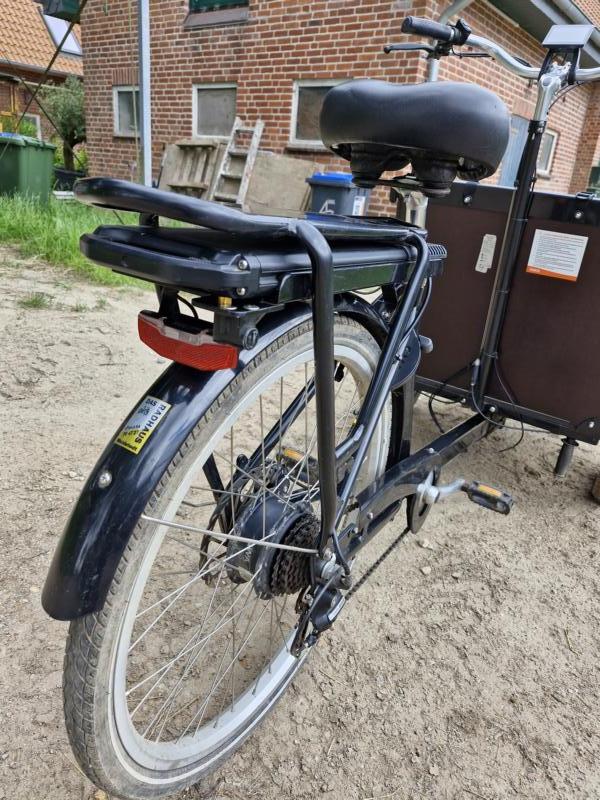 Bild 19 Babboe Dog-E Lastenrad, wenig gefahren, frisch inspiziert, mit Kindersitzbank