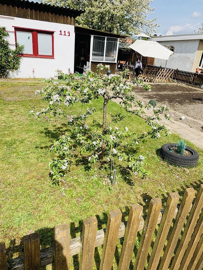 Bild 10 Kleingarten in Leipzig-Lindenau zu verkaufen