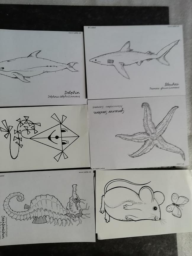 Bild 14 1...6 aktuell LEHRERschulerMATERIAL
