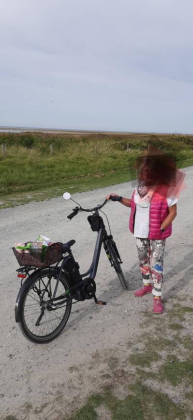 Bild 1 Damen E - Bike 26er von Prophete