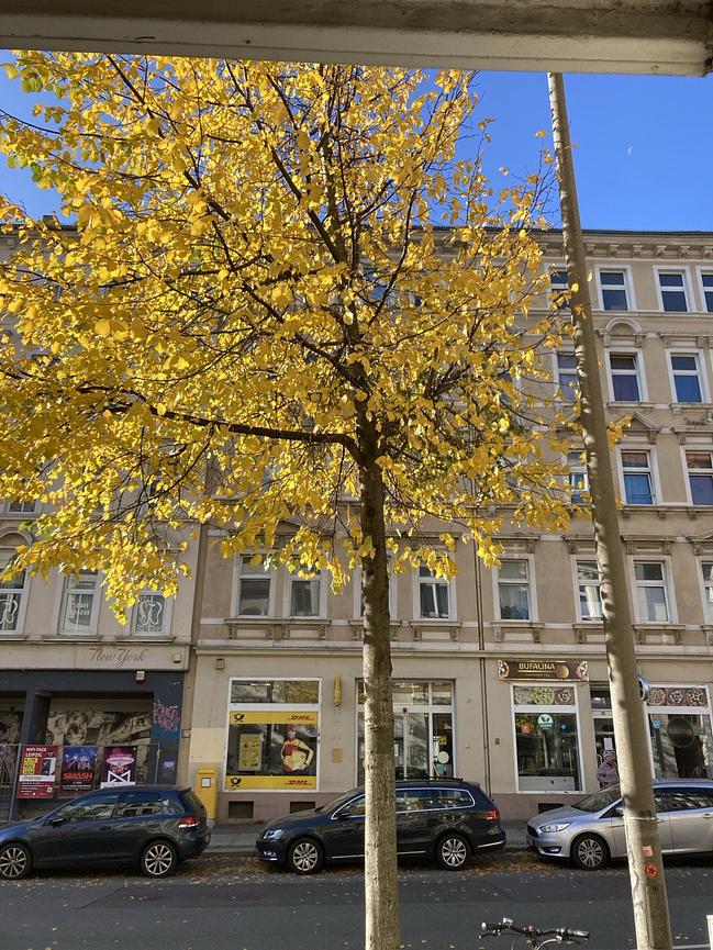 Bild 2 schöner Co-Working Arbeitsplatz frei in Lindenau (evtl auch zwei)