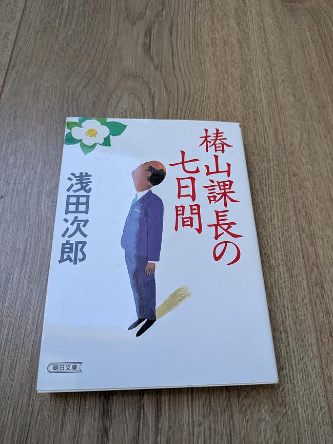 Bild 11 Verkauf japanischer Romane