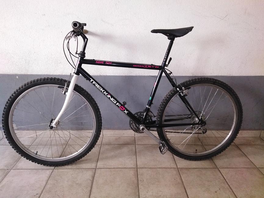 Bild 1 Mit viel Liebe und Know How aufgebautes 90er Jahre MTB
