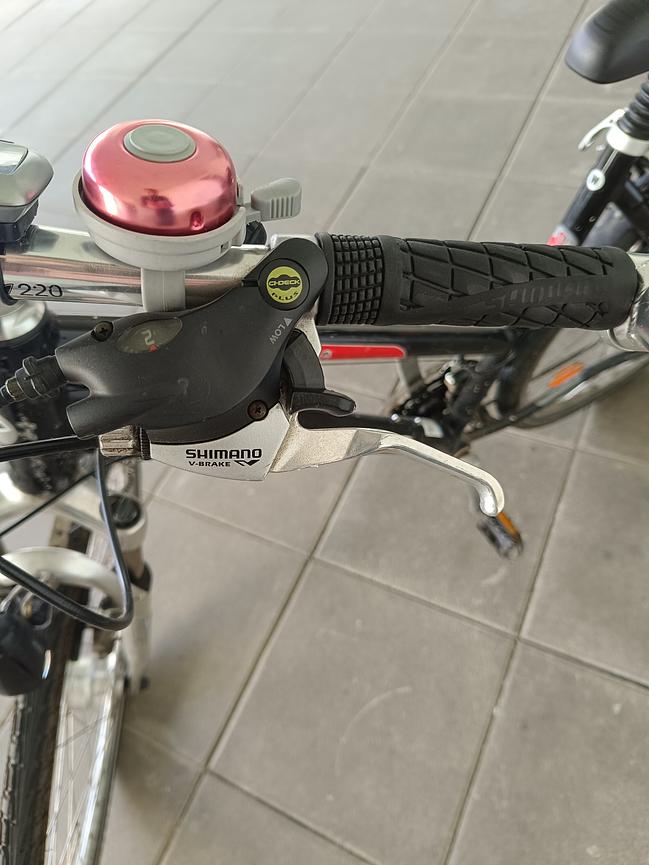Bild 3 Fahrrad mit Korb (Focus)