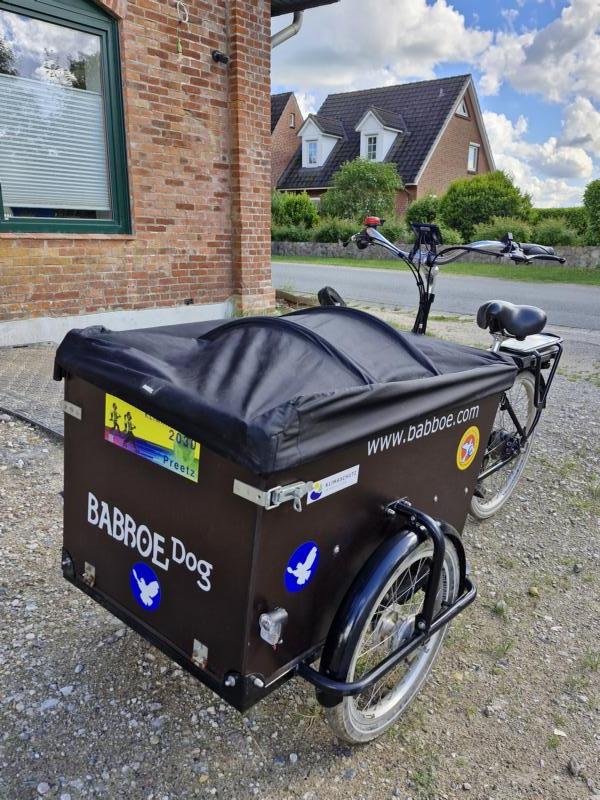 Bild 15 Babboe Dog-E Lastenrad, wenig gefahren, frisch inspiziert, mit Kindersitzbank