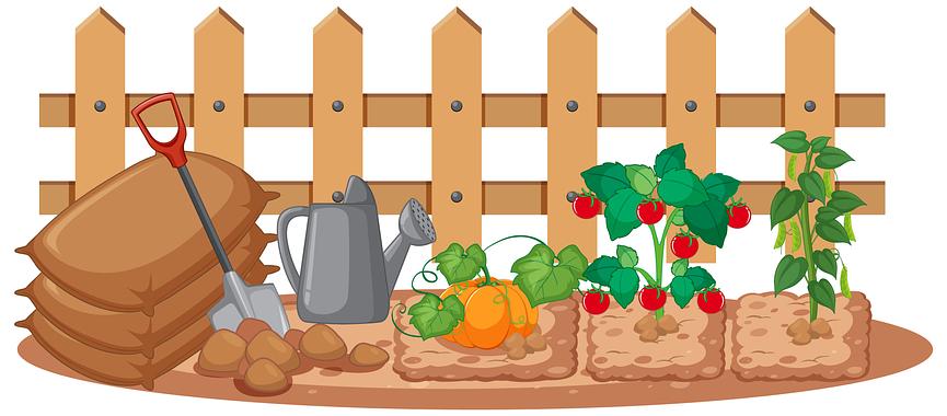 Bild 1 Tauschring Obst & Gemüse aus Gartenanbau
