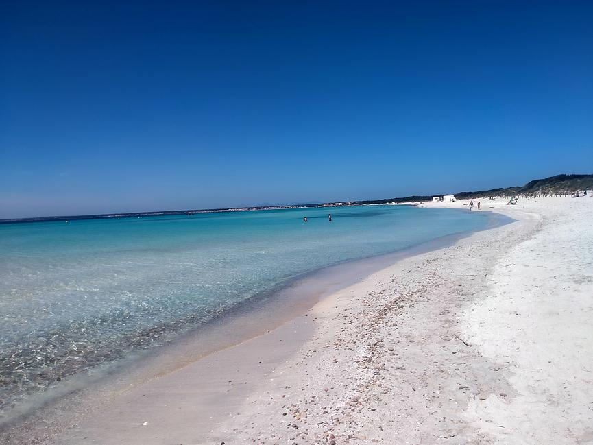 Bild 3 Interessierte für einen Mallorca Urlaub gesucht