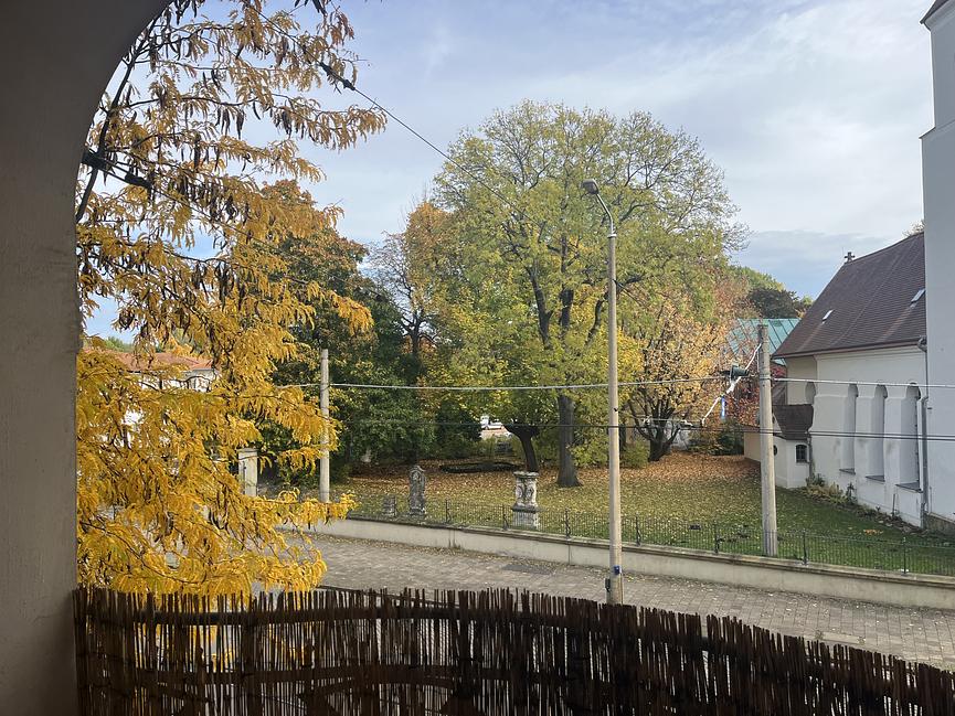 Bild 15 20qm mit Balkon in wundervoller WG