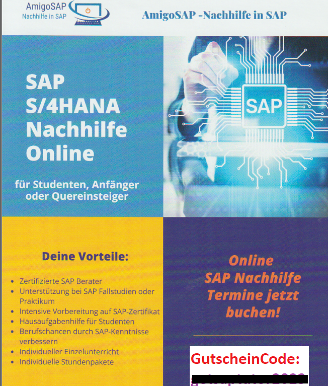 Bild 1 SAP Nachhilfe für Studenten, Anfänger und Quereinsteiger