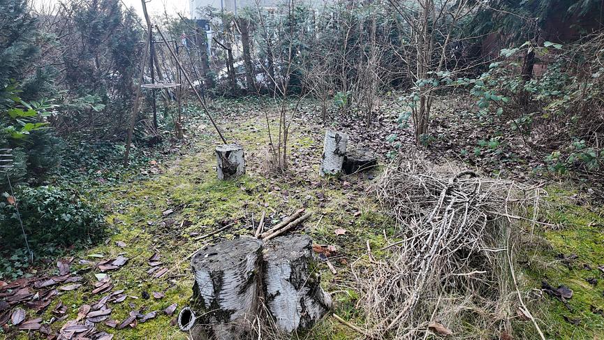 Bild 17 WG-Wohnung Zentrum nah