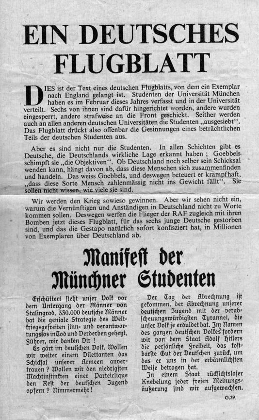 Bild 22 Weisse Rose - Dauer - Ausstellung, weltweit einzigartig und einmalig (Schenkung)