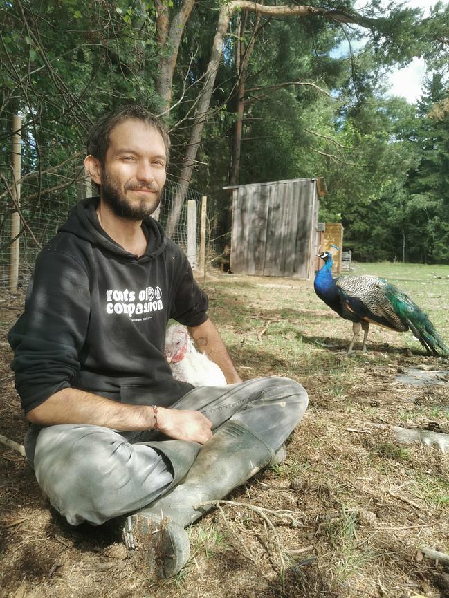 Bild 2 Vegane WG / Wohnprojekt