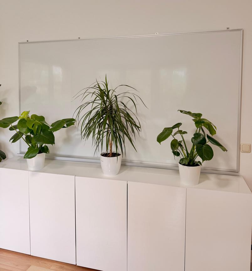 Bild 2 XXL MAGNETOPLAN® WHITEBOARD – 220 × 120 CM