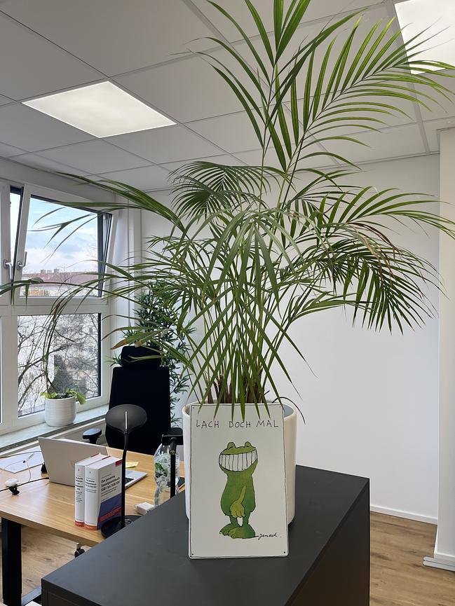 Bild 2 Kostenlose Beratung (für Menschen mit Behinderung und deren Angehörige)!