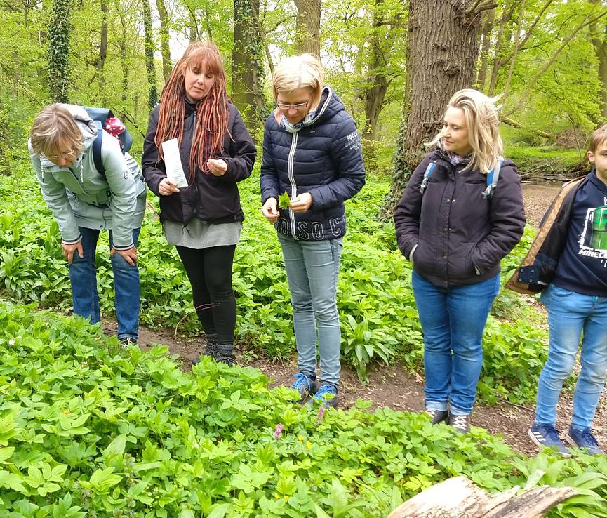 Bild 3 Wildkräuterwanderung Leipzig Süd