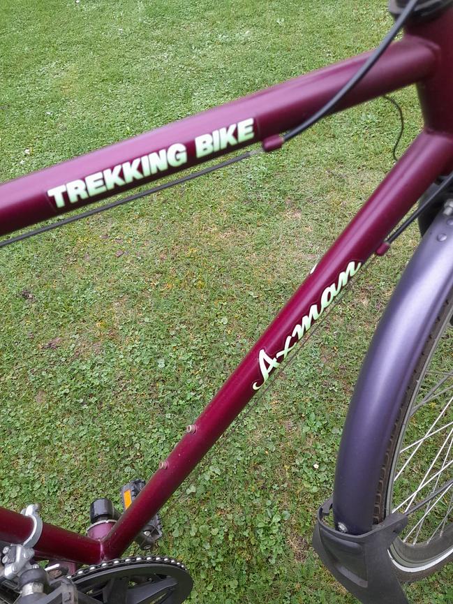 Bild 3 Herrenrad