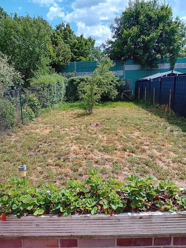 Bild 9 2 Zimmer in 3 er WG mit Garten 560 € Warm