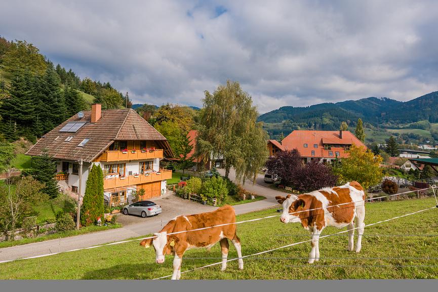 Bild 9 Schwarzwaldurlaub, Kinzigtal mittlerer Schwarzwald