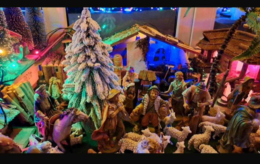 Bild 6 Komplette Weihnachtskrippe zu verkaufen