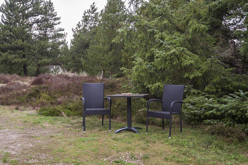 Bild 3 Dänemark  -  Blaavand - Ferienhaus - Frischer Wind