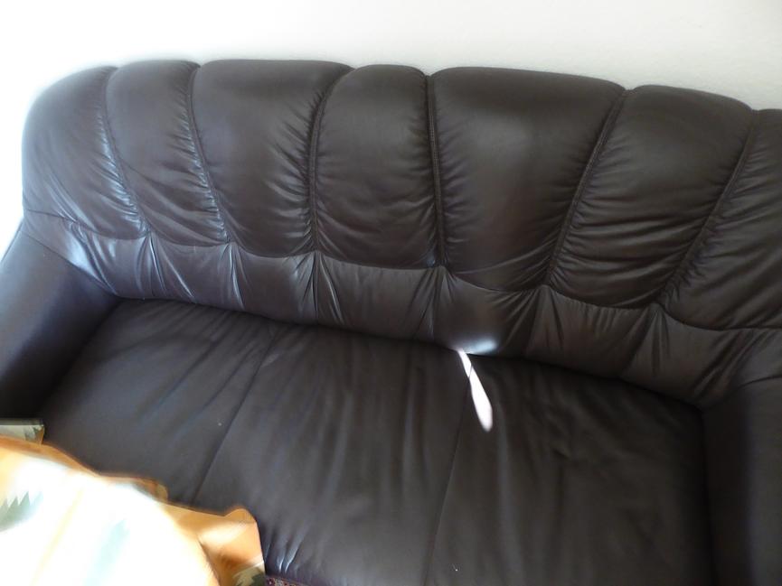 Bild 3 Ledercouch