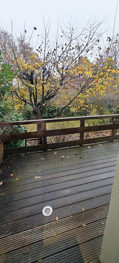 Bild 3 Exklusive 5-Zimmer Wohnung, ganze Wohnung (192 m2) für WG, keine Zi Anfragen!