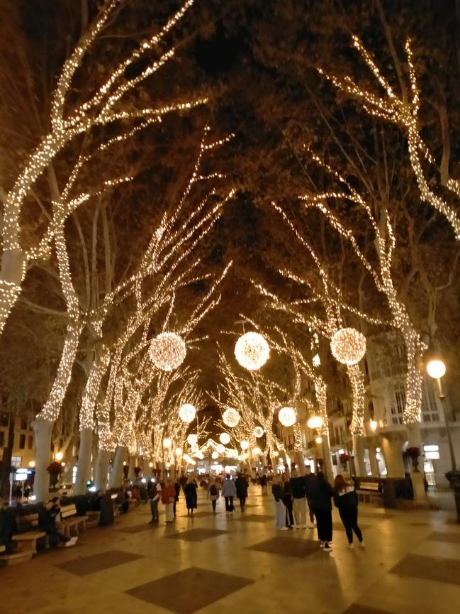 Bild 1 Hast du Lust auf Mallorca? Weihnachten/Silvester oder länger?