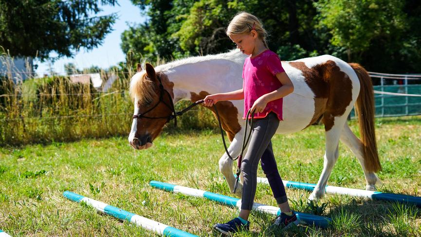 Bild 2 Reittherapie für Kinder ab 4 Jahren