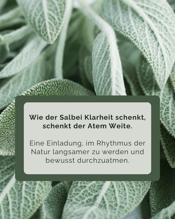 Bild 1 „Focus on you“ - deine Atmung