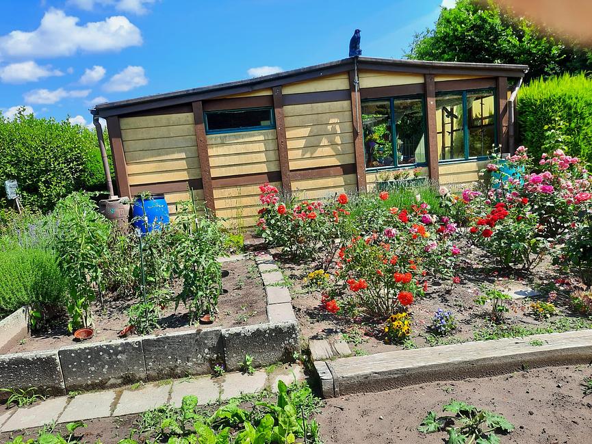 Bild 1 Schrebergarten im Heidberg Braunschweig zu verkaufen - ab sofort