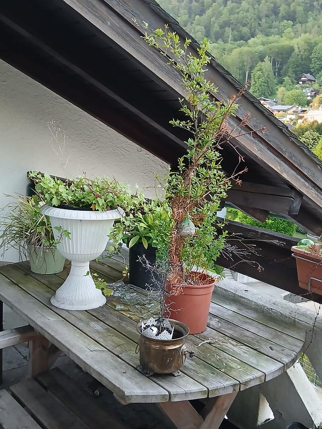 Bild 6 Suche Nachmieter für barrierefreie Garconiere